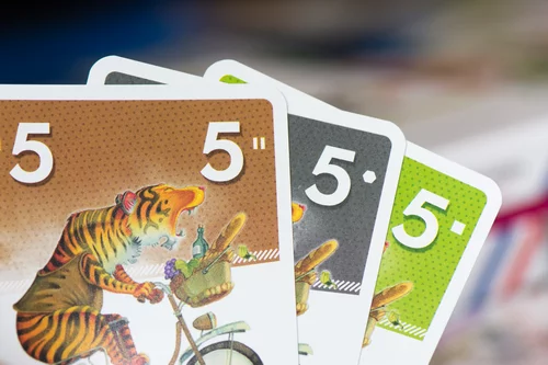 Test du jeu VELONIMO vue cartes